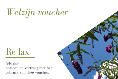 Welzijn voucher